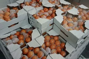 Photographie de Grenadille Equateur sans marque