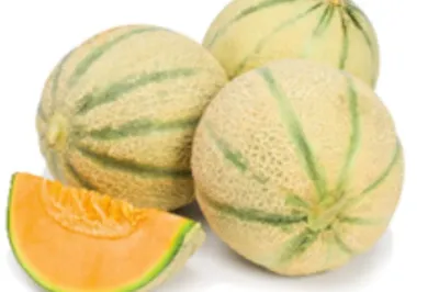 Photographie de melon charentais