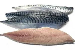 Photographie de filets de maquereaux vendus au rayon traditionnel